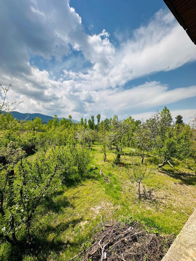 Sheen Homestay Gulmarg Ngoại thất bức ảnh