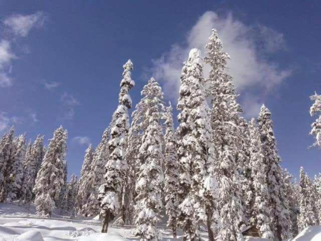 Sheen Homestay Gulmarg Ngoại thất bức ảnh